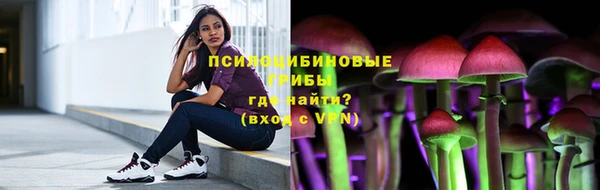 соль ск Вязьма
