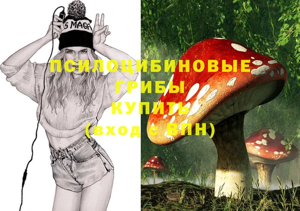 сатива Вяземский