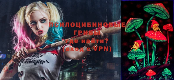 соль ск Вязьма