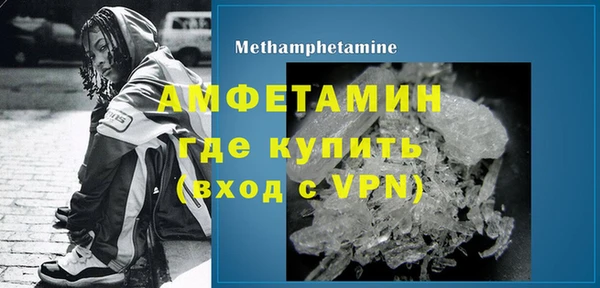 сатива Вяземский