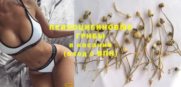сатива Вяземский
