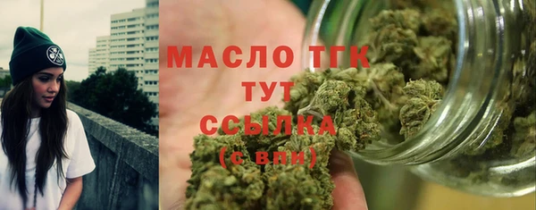 сатива Вяземский