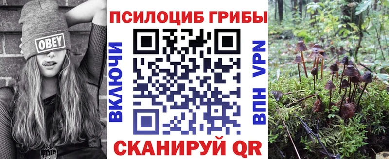 Псилоцибиновые грибы мицелий  Купить закладки  Чкаловск 
